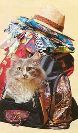 Домашнее животное