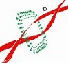Центр клеточных технологий, Челябинск