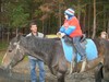 Служба милосердия "Кия". Знакомство с лошадью