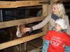 Служба милосердия "Кия". Знакомство с лошадью