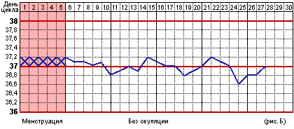 базальная температура без овуляции