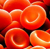 gemoglobin.jpg