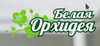 logo-belaya-orhideya.jpg