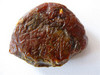 propolis1.jpg