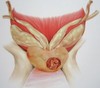 rak-prostati.jpg
